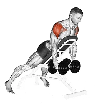 Incline-Dumbbell-Reverse-Delt-Fly أفضل 7 تمارين لتكوير عضلة الكتف بسرعة | احصل على أكتاف قوية 3D