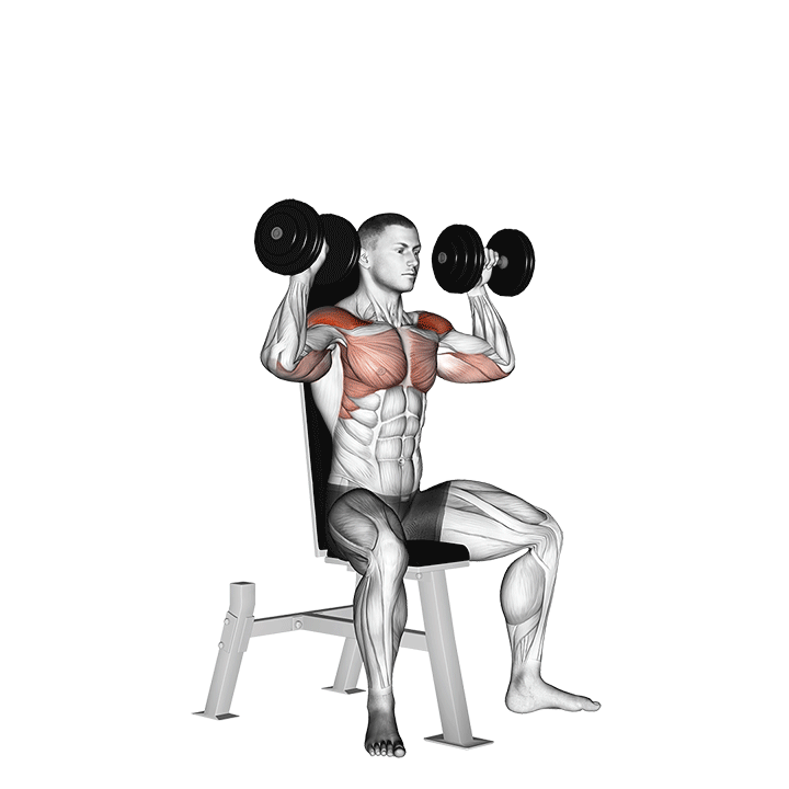 dumbbell-shoulder-press أفضل 7 تمارين لتكوير عضلة الكتف بسرعة | احصل على أكتاف قوية 3D