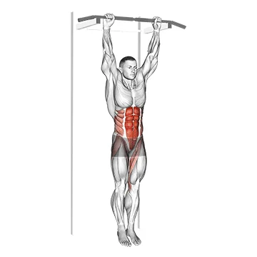 hanging-leg-hip-raise أفضل تمارين عضلات البطن للحصول على بطن مشدود ومحدد