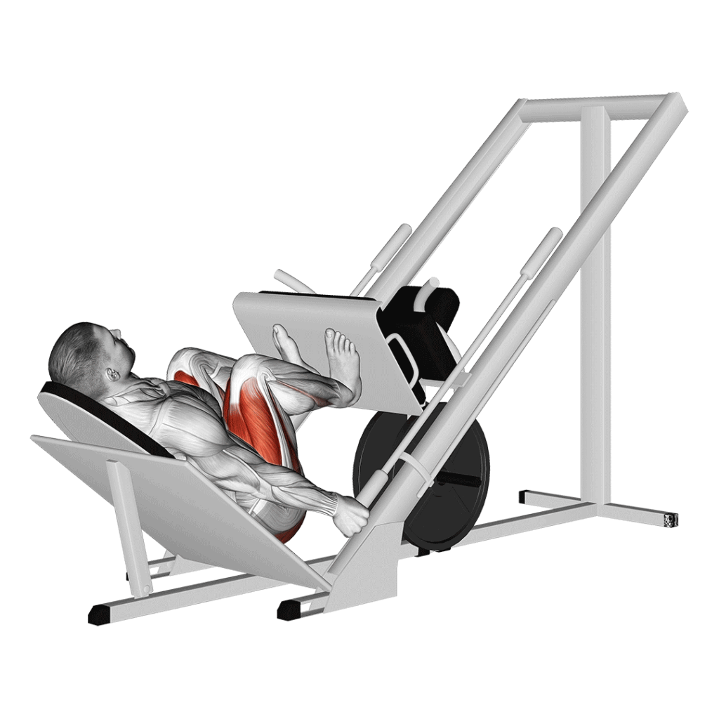 narrow-stance-leg-press-1024x1024 برنامج كامل لتمارين عضلة الأرجل (Squats)